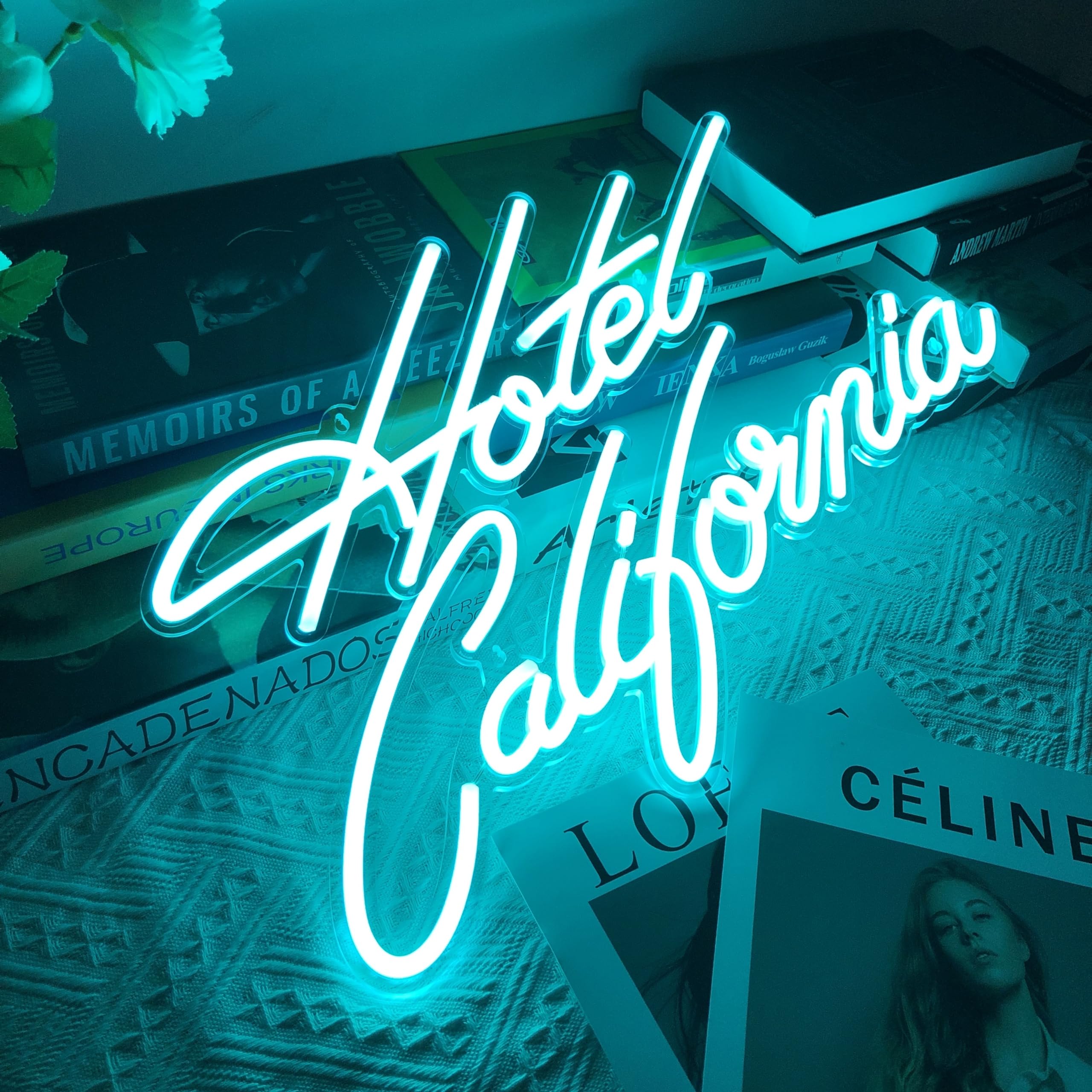 AOOS CUSTOM Hotel California Neon Signs for Wall Decor, Neon Lights for Bedroom Decor, Home Decor, Aesthetic Room Decor, Wedding Decor, Party Lights, Bathroom Decor, Kitchen Décor