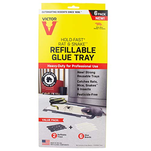 Victor M776 Hold-Fast Rat Refillable Mouse Glue Trap, 1 Pack, White