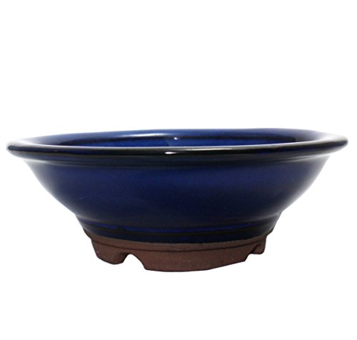 Bonsai Pot Ceramic Jin-Gasa Shape Glazed (5.75", Namako-Yu)