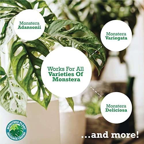 Houseplant Resource Center Monstera Plant Food - Liquid Fertilizer (NPK 5-2-3) for Indoor Plants, Strong Roots - Ideal for Monstera, Pothos, Snake Plant - Indoor Potted Plants - 8oz