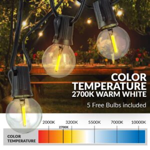 Newhouse Lighting PSTRINGLED50 Foot, 50 Socket Indoor/Outdoor String 55 LED Globe G40 (5 Free Bulbs Included), Wedding Lights, Decorations for Patios, Porches, Backyards, Decks, Bistros, 50ft, Black