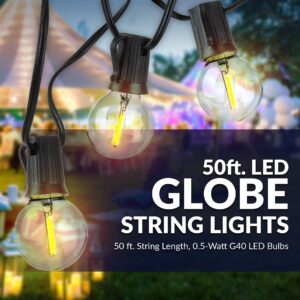 Newhouse Lighting PSTRINGLED50 Foot, 50 Socket Indoor/Outdoor String 55 LED Globe G40 (5 Free Bulbs Included), Wedding Lights, Decorations for Patios, Porches, Backyards, Decks, Bistros, 50ft, Black