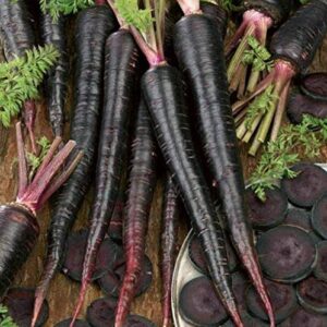 ohio heirloom black nebula carrot seeds, 100+ organic non-gmo heirloom seeds for high yields, easy to grow vegetables for home and outdoor gardens