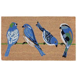 liora manne natura doormat non-slip natural fiber outdoor mat-animal, blue birds natural 2' x 3'