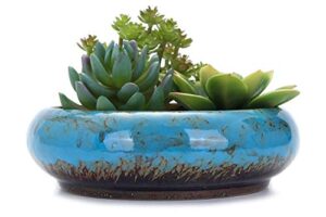 vanenjoy 7.3 inch round large shallow succulent ceramic glazed planter pots with drainage hole, bonsai pots garden decorative cactus stand flower container (blue)