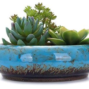 VanEnjoy 7.3 inch Round Large Shallow Succulent Ceramic Glazed Planter Pots with Drainage Hole, Bonsai Pots Garden Decorative Cactus Stand Flower Container (Blue)