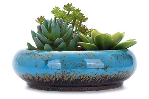 VanEnjoy 7.3 inch Round Large Shallow Succulent Ceramic Glazed Planter Pots with Drainage Hole, Bonsai Pots Garden Decorative Cactus Stand Flower Container (Blue)