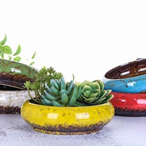 VanEnjoy 7.3 inch Round Large Shallow Succulent Ceramic Glazed Planter Pots with Drainage Hole, Bonsai Pots Garden Decorative Cactus Stand Flower Container (Blue)