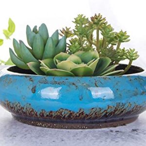 VanEnjoy 7.3 inch Round Large Shallow Succulent Ceramic Glazed Planter Pots with Drainage Hole, Bonsai Pots Garden Decorative Cactus Stand Flower Container (Blue)