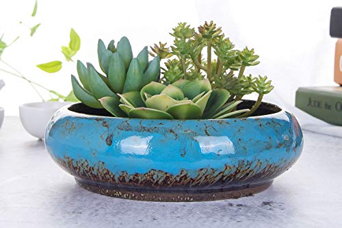 VanEnjoy 7.3 inch Round Large Shallow Succulent Ceramic Glazed Planter Pots with Drainage Hole, Bonsai Pots Garden Decorative Cactus Stand Flower Container (Blue)