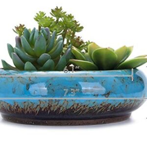 VanEnjoy 7.3 inch Round Large Shallow Succulent Ceramic Glazed Planter Pots with Drainage Hole, Bonsai Pots Garden Decorative Cactus Stand Flower Container (Blue)