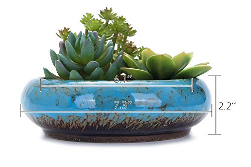 VanEnjoy 7.3 inch Round Large Shallow Succulent Ceramic Glazed Planter Pots with Drainage Hole, Bonsai Pots Garden Decorative Cactus Stand Flower Container (Blue)