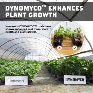 Mycorrhizal Inoculant by DYNOMYCO – High Performing Strains – Concentrated Formula – Improves Nutrient Uptake – Increases Plant Yields Enhances Resilience to Stress Saves Fertilizer (3.5 Oz / Up to 20 Plants)