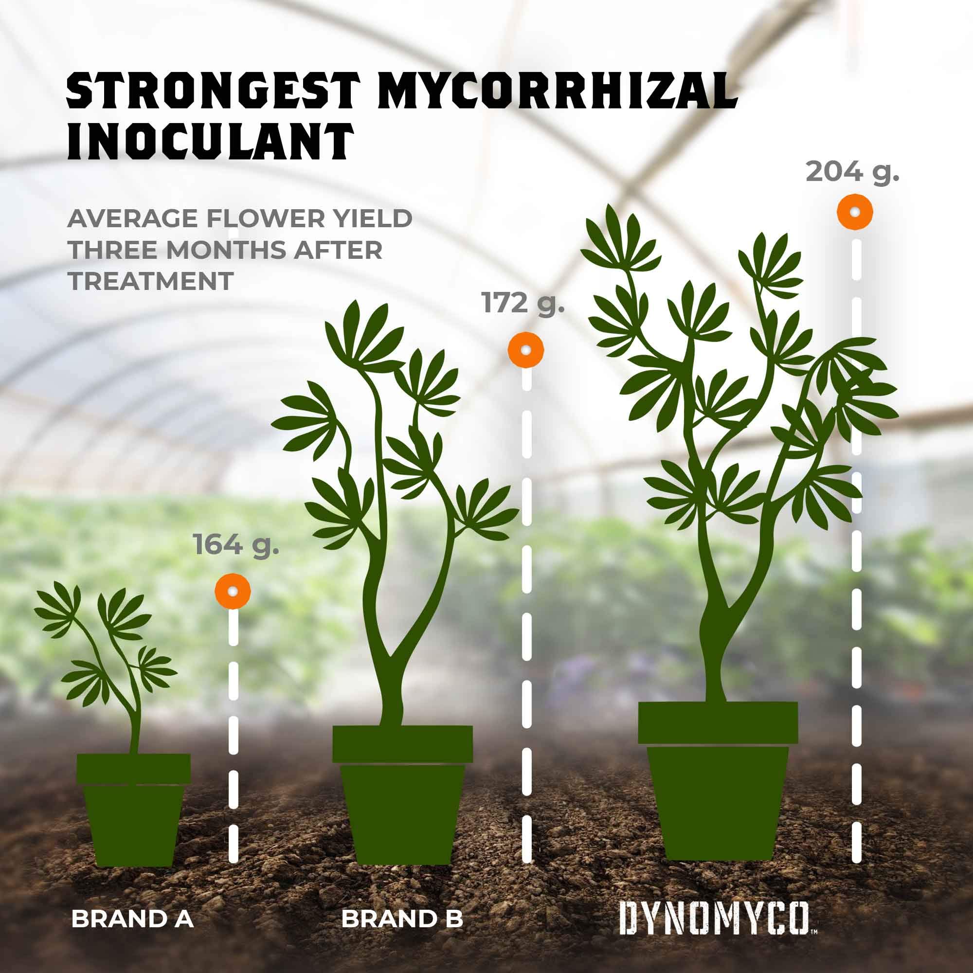 Mycorrhizal Inoculant by DYNOMYCO – High Performing Strains – Concentrated Formula – Improves Nutrient Uptake – Increases Plant Yields Enhances Resilience to Stress Saves Fertilizer (3.5 Oz / Up to 20 Plants)