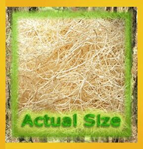insectsales.com excelsior (aspen wood) fine fiber to make fruit fly cultures… (10 pack)