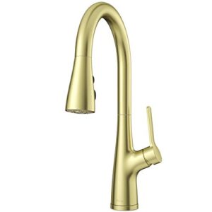 pfister lg529-nebg neera pull down kitchen faucet, brushed gold