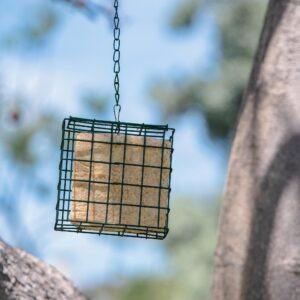 MEKKAPRO Suet Feeder with Hanging Metal Roof, One Suet Capacity, Suet Bird Feeder for Outside Hanging Water Resistant, Hanging Bird Feeder - Wild Bird Feeder Easy to Use Suet Cage (Single)