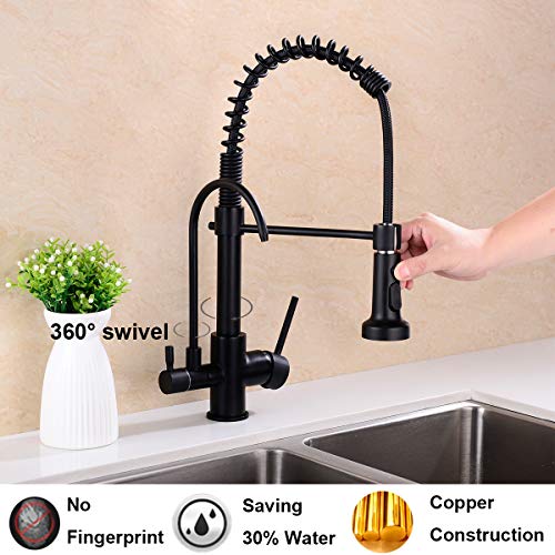 GICASA Kitchen Faucet, Commercial 3 in 1 Spring Black Kitchen Faucet, High Arc Single Hole Pull Down Sprayer Kitchen Sink Faucet, RO System Water Filter Faucet Integrated into Kitchen Faucet