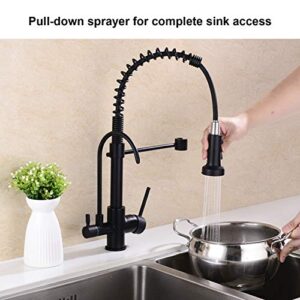 GICASA Kitchen Faucet, Commercial 3 in 1 Spring Black Kitchen Faucet, High Arc Single Hole Pull Down Sprayer Kitchen Sink Faucet, RO System Water Filter Faucet Integrated into Kitchen Faucet