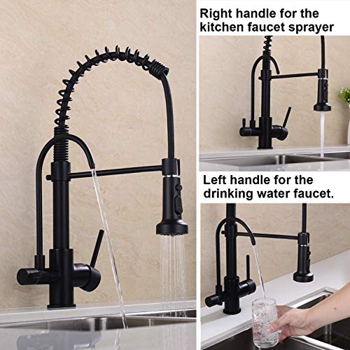 GICASA Kitchen Faucet, Commercial 3 in 1 Spring Black Kitchen Faucet, High Arc Single Hole Pull Down Sprayer Kitchen Sink Faucet, RO System Water Filter Faucet Integrated into Kitchen Faucet