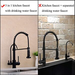 GICASA Kitchen Faucet, Commercial 3 in 1 Spring Black Kitchen Faucet, High Arc Single Hole Pull Down Sprayer Kitchen Sink Faucet, RO System Water Filter Faucet Integrated into Kitchen Faucet