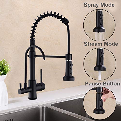 GICASA Kitchen Faucet, Commercial 3 in 1 Spring Black Kitchen Faucet, High Arc Single Hole Pull Down Sprayer Kitchen Sink Faucet, RO System Water Filter Faucet Integrated into Kitchen Faucet