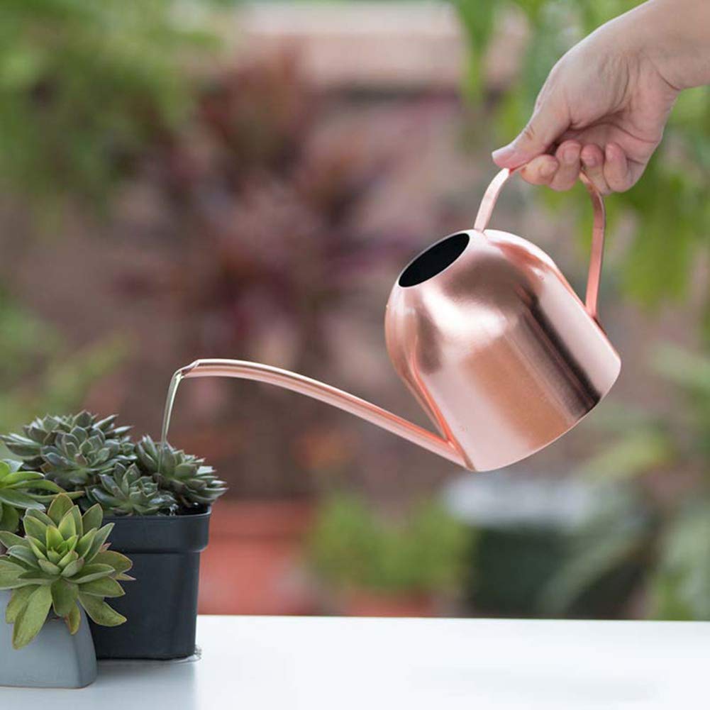 shlutesoy 500ML Stainless Steel Long Spout Home Garden Bonsai Plant Flower Watering Can Rose Gold