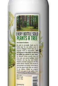 Succulent and Cactus Fertilizer by Home + Tree - Every Bottle Sold Plants A Tree