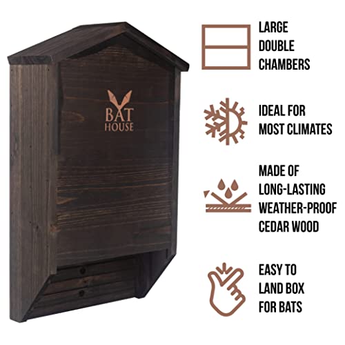 The Ultimate Wooden Bat House for Outdoors - A Large Double Chamber Box Perfectly Designed to Attract Bats - Durable and Easy to Hang