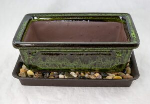 8" rectangular moss green bonsai/succulent pot + tray + rock + mesh combo