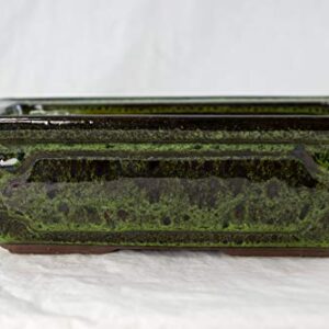 Calibonsai Rectangular Bonsai/Cactus & Succulent Pot 8"x 5.75"x 2.5" w/Mesh - Moss Green Stain