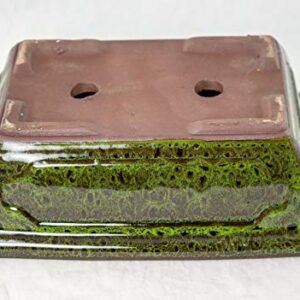 Calibonsai Rectangular Bonsai/Cactus & Succulent Pot 8"x 5.75"x 2.5" w/Mesh - Moss Green Stain