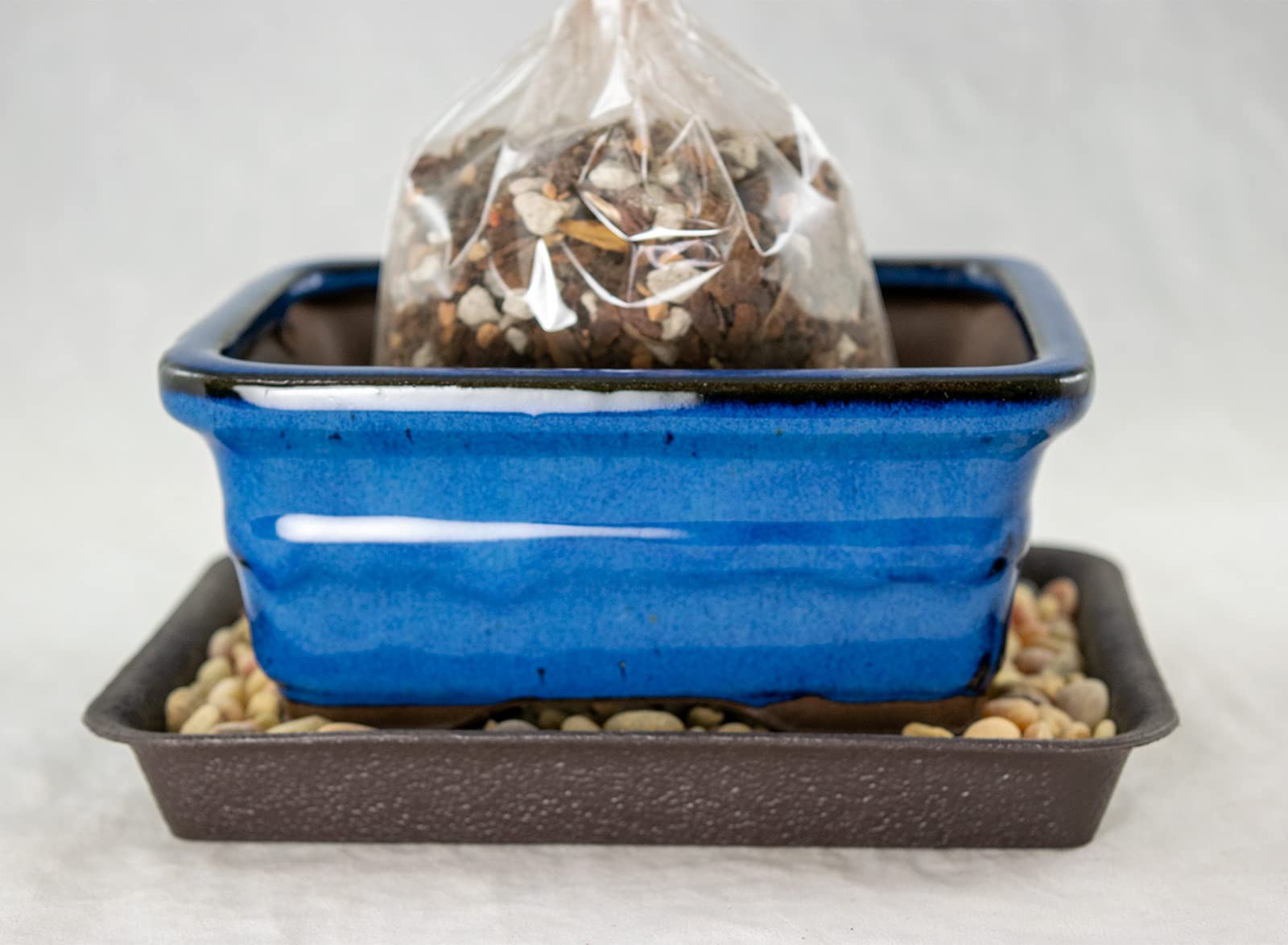 6" Rectangular Blue Bonsai/Succulent Pot + Soil + Tray + Rock + Mesh Kit