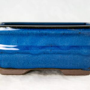 6" Rectangular Blue Bonsai/Succulent Pot + Soil + Tray + Rock + Mesh Kit