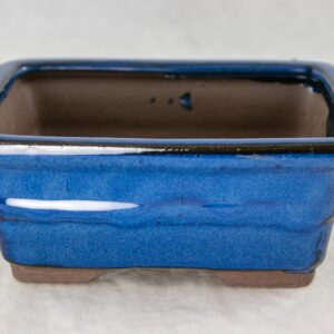 6" Rectangular Blue Bonsai/Succulent Pot + Soil + Tray + Rock + Mesh Kit