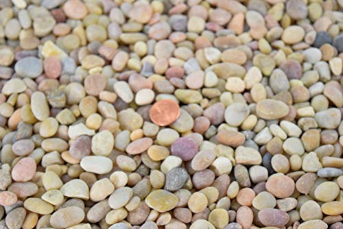 3 Lbs Large Salmon Bay Pebbles for Bonsai Tree Humidity Tray & Lucky Bamboo