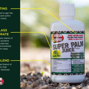 Super Palm Juice - Palm Tree Fertilizer - 1 Quart Concentrate