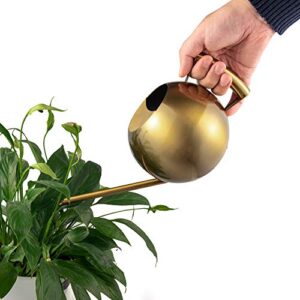 IMEEA Watering Can for Indoor Plants 45oz/1.3L Stainless Steel Small Indoor Watering Can House Plants (Bronze Color)