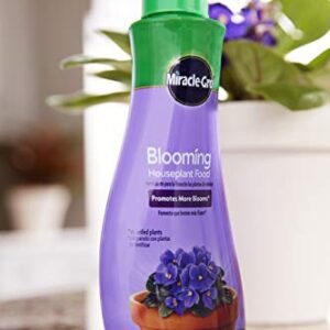 Miracle-Gro Blooming Houseplant Food, 8 oz., Plant Food Feeds All Flowering Houseplants Instantly, Including African Violets, 2 Pack