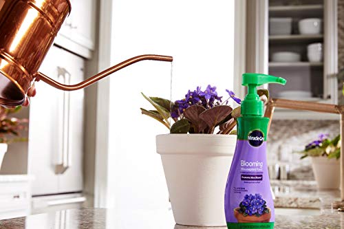 Miracle-Gro Blooming Houseplant Food, 8 oz., Plant Food Feeds All Flowering Houseplants Instantly, Including African Violets, 2 Pack