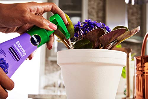 Miracle-Gro Blooming Houseplant Food, 8 oz., Plant Food Feeds All Flowering Houseplants Instantly, Including African Violets, 2 Pack