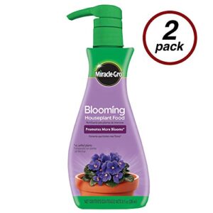 Miracle-Gro Blooming Houseplant Food, 8 oz., Plant Food Feeds All Flowering Houseplants Instantly, Including African Violets, 2 Pack