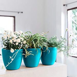 GARDENIX DECOR 7'' Self Watering planters for Indoor Plants - Flower Pot with Water Level Indicator for Plants, Grow Tracking Tool - Self Watering Planter Plant Pot - Coco Coir - Teal 3 Pack