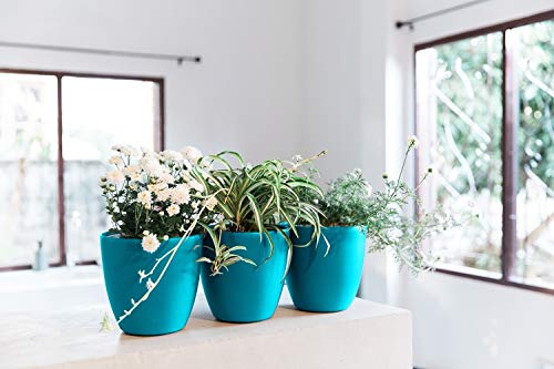 GARDENIX DECOR 7'' Self Watering planters for Indoor Plants - Flower Pot with Water Level Indicator for Plants, Grow Tracking Tool - Self Watering Planter Plant Pot - Coco Coir - Teal 3 Pack