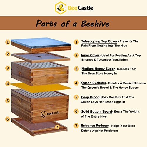 BeeCastle 10-Frames Complete Beehive Kit, 100% Beeswax Coated Bee Hive Includes Beehive Frames and Beeswax Coated Foundation Sheet (2 Layer)