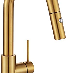 AguaStella AS59BG Brushed Gold Bar Faucet or Prep Kitchen Sink Faucet with Pull Down Sprayer and Single Handle