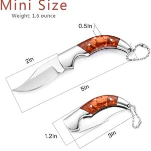 EZKIT Pocket knife, Small Pocket Knife for Men and Women, Blade Length 2in