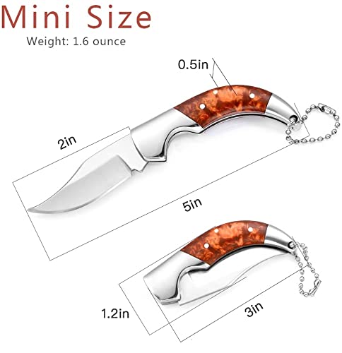 EZKIT Pocket knife, Small Pocket Knife for Men and Women, Blade Length 2in