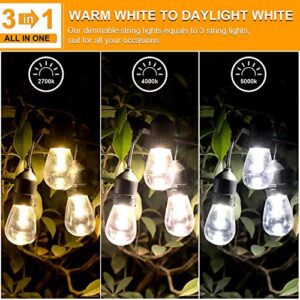 Mlambert 3 Color Outdoor LED Dimmable String Lights for Patio with Remote, Plug in 48FT Waterproof Edison Bulb, Warm White Daylight White Shatterproof Light for Cafe Bistro Pergola