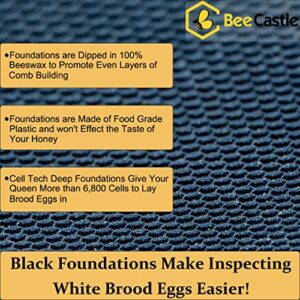 Heavy Wax Coated Unassembled Langstroth Deep/Brood Box with Frames and Beeswax Coated Foundation Sheet (10 Frame)